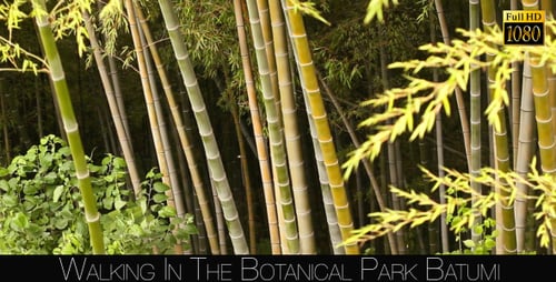 Botanical Park In Batumi 13