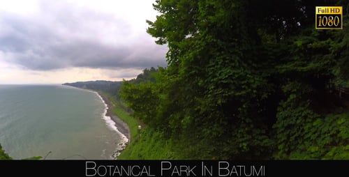 Botanical Park In Batumi 17