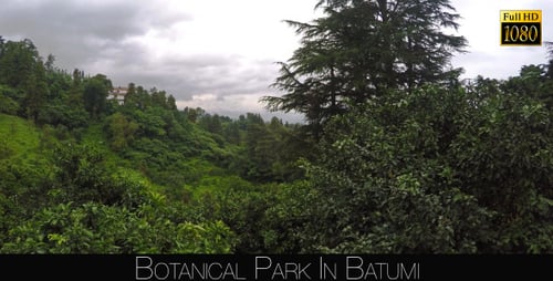 Botanical Park In Batumi 19