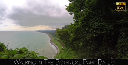 Botanical Park In Batumi 22