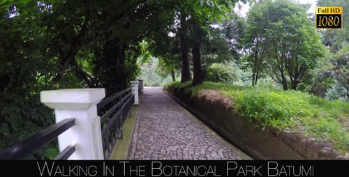 Botanical Park In Batumi 23