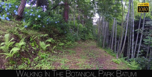 Botanical Park In Batumi 24