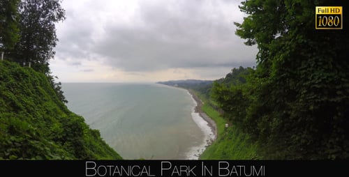 Botanical Park In Batumi 25