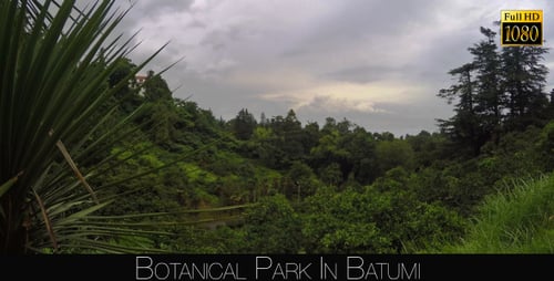 Botanical Park In Batumi 27