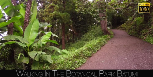 Botanical Park In Batumi 28