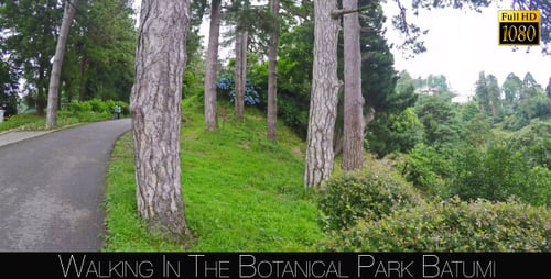 Botanical Park In Batumi 29