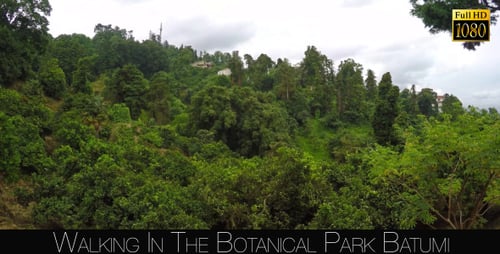 Botanical Park In Batumi 30