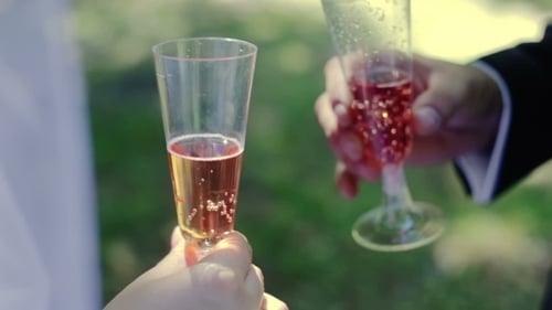 Wedding Couple Toast