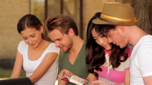 College Students Studying Together Outdoors on Sunny Day