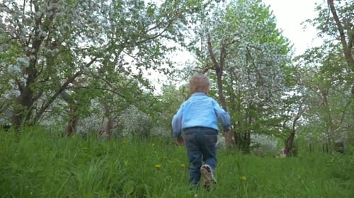 Boy Walking In The Garden