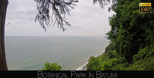 Botanical Park In Batumi 32