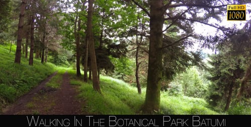 Botanical Park In Batumi 33