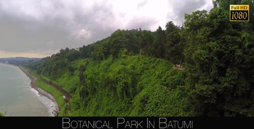 Botanical Park In Batumi 35