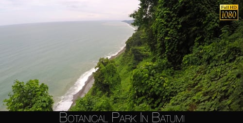Botanical Park In Batumi 36