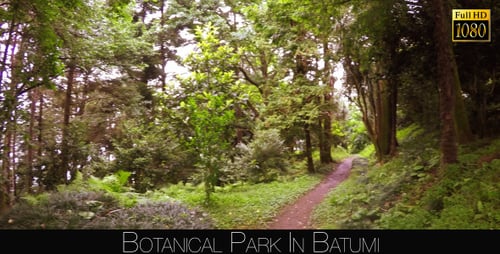 Botanical Park In Batumi 37