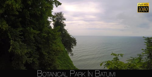 Botanical Park In Batumi 38