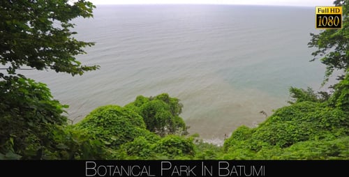 Botanical Park In Batumi 39