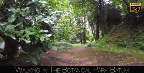 Botanical Park In Batumi 42