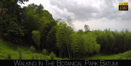 Botanical Park In Batumi 43