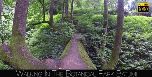 Botanical Park In Batumi 45