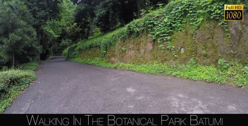 Botanical Park In Batumi 48