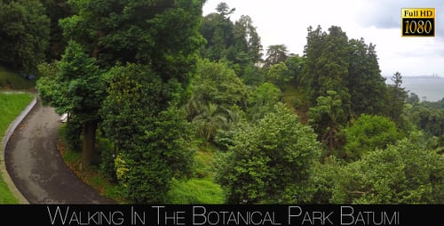 Botanical Park In Batumi 49