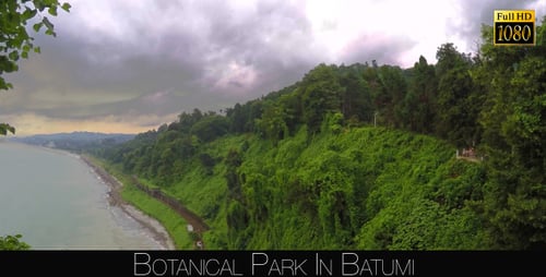 Botanical Park In Batumi 50