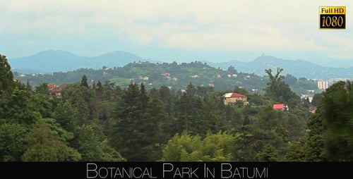 Botanical Park In Batumi 51
