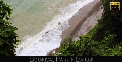 Botanical Park In Batumi 52