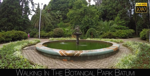 Botanical Park In Batumi 56