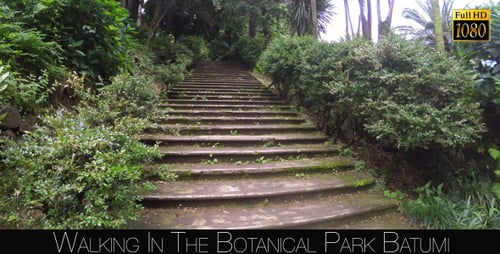 Botanical Park In Batumi 57