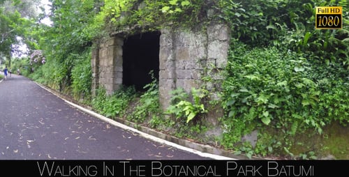 Botanical Park In Batumi 58