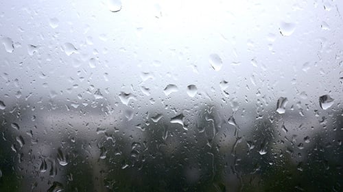 Rain Drops on Window on a Gloomy Day