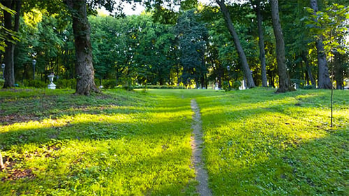 Through the Park