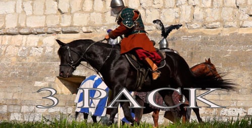 Knights in Armor on Horseback, Riding by Stone Wall