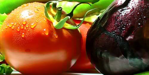 Fresh Vegetables: Tomato, Lettuce, Eggplant and Peppers
