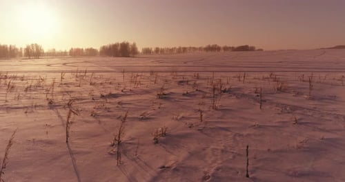 Drohnenaufnahme der kalten Winterlandschaft mit arktischen Feldbäumen, die mit Frostschnee bedeckt sind