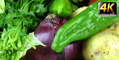 Fresh Vegetables: Tomatoes, Peppers, Onions, Potatoes, Parsley