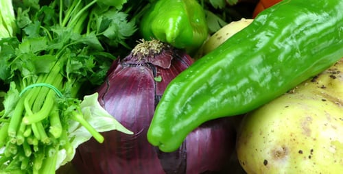 Fresh Vegetables, Colorful Produce On Wooden Table