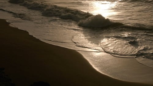 Olas del mar en playa de arena