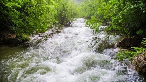 Rapid Mountain River fließt hinab