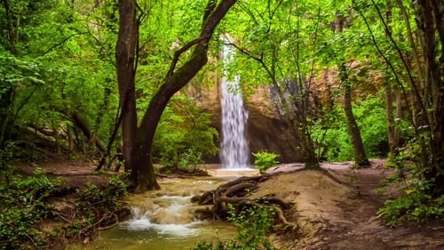Wunderschöner Wasserfall im hellgrünen Wald