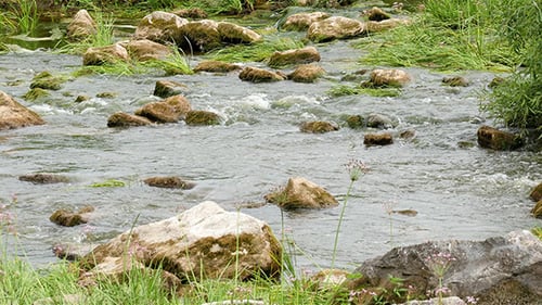 Landscape Of The River With Stones And Reeds
