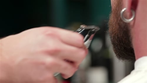 Barber Trims Stylish Beard in Barbershop