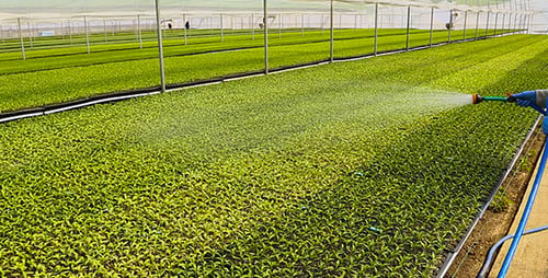 Irrigation Agricultural Field