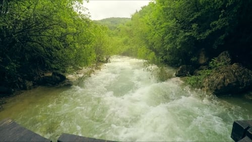 Rio da montanha áspera fluindo para baixo em verde exuberante