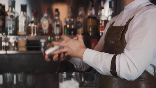Bartender Shaking Cocktail Shaker at the Bar
