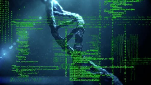 DNA and interface codes