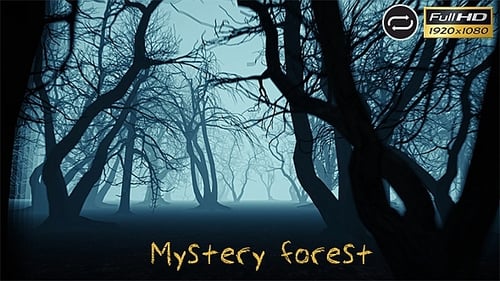 Mystery Forest