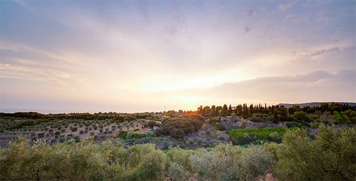 Ländlicher Sonnenuntergang